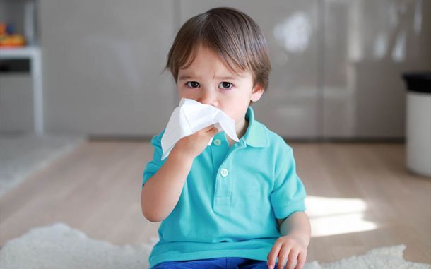 Alergias y Sinusitis | Otorriniolaringólogo Pediatra | Dr. Jesús Avelar  